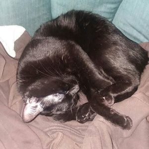 Meet your Posher, Martha